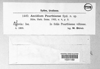 Image Associated With the Occurence